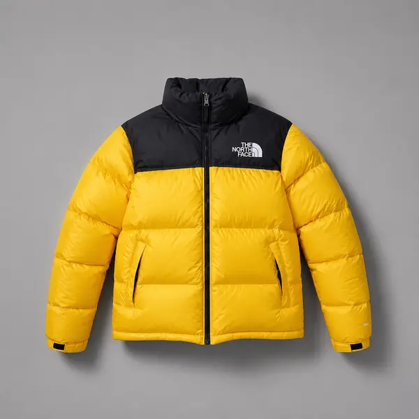 C-MJ102 4